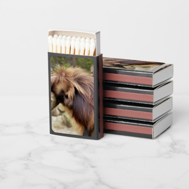 Loitering Monkey Matchboxes (Stacked)