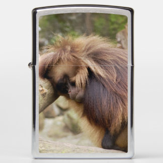 Loitering Monkey Zippo Lighter