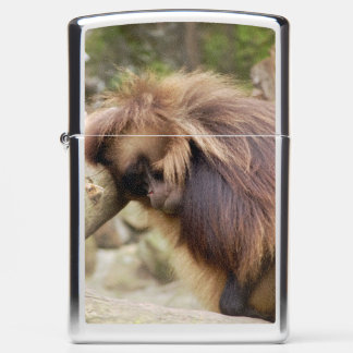Loitering Monkey Zippo Lighter