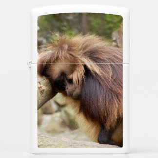 Loitering Monkey Zippo Lighter
