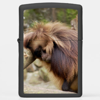 Loitering Monkey Zippo Lighter