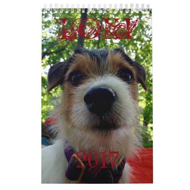 Loki 2017 Calendar (Cover)