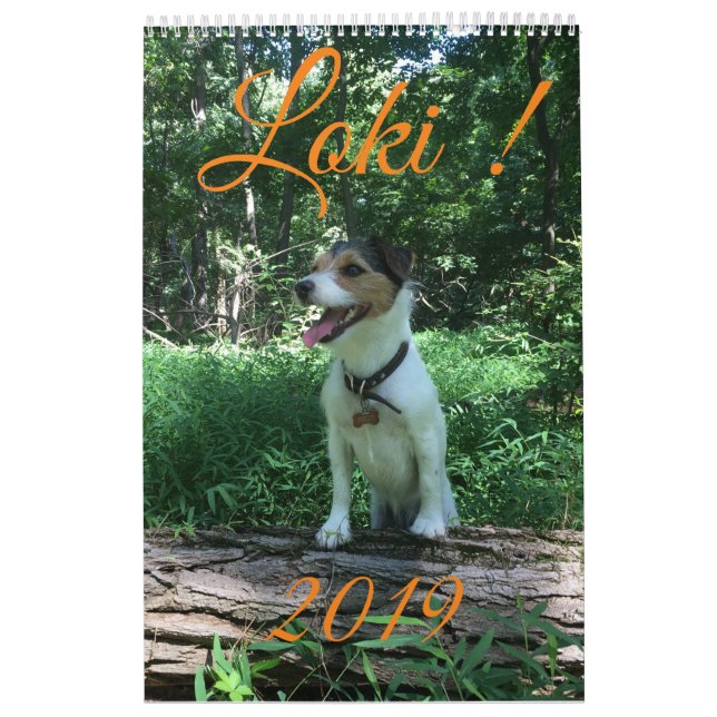 Loki 2019 calendar (Cover)