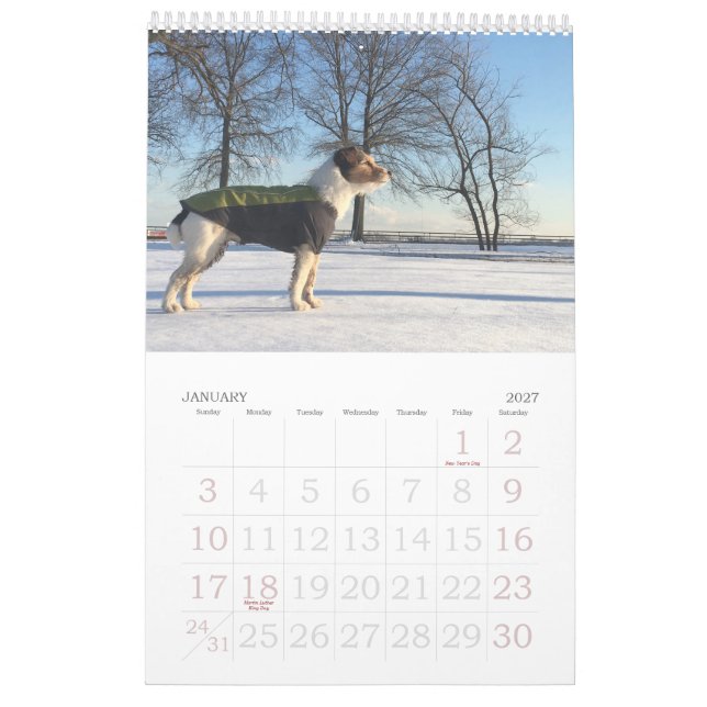 Loki 2020 Calendar (Jan 2027)