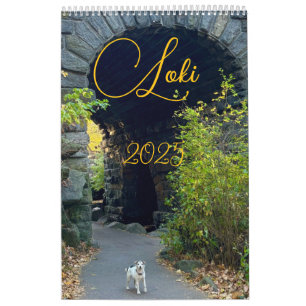 Loki 2025 calendar