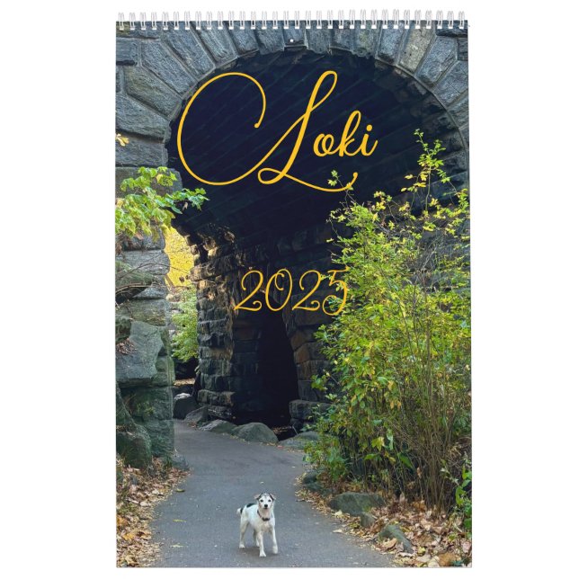 Loki 2025 calendar (Cover)