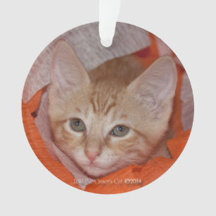 Loki in Orange & White Ornament
