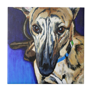 Loki - Lurcher dog Tile