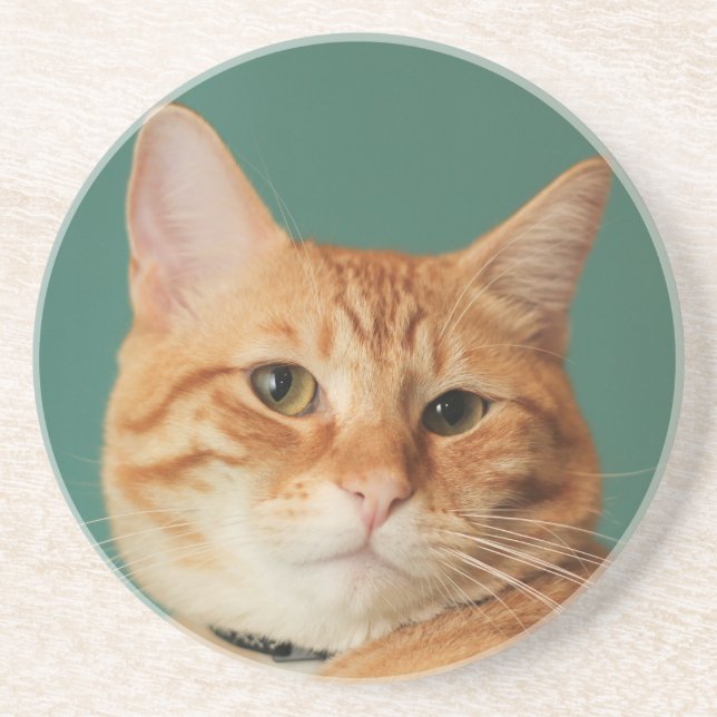 Loki's Best Side Sandstone Coaster (Front)