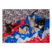 Loki's Litter in Red, White, & Blue (Front Horizontal)