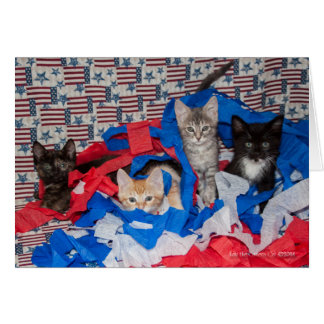 Loki's Litter in Red, White, & Blue Cards