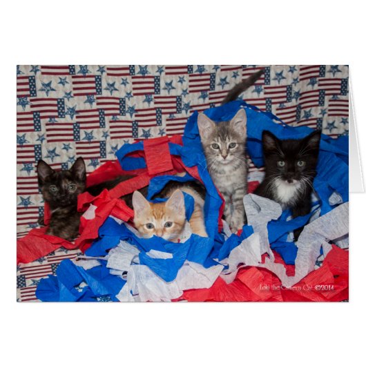 Loki's Litter in Red, White, & Blue Cards (Front Horizontal)