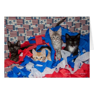 Loki's Litter in Red, White, & Blue Cards
