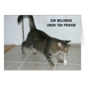 LOL Cat card (Front Horizontal)