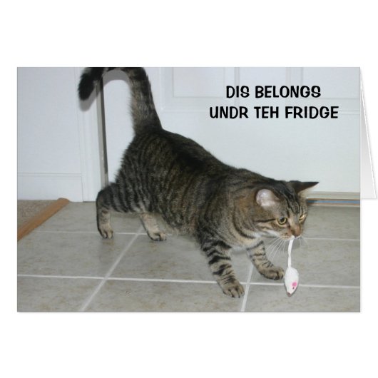 LOL Cat card (Front Horizontal)