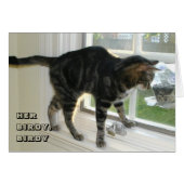 LOL Cat card (Front Horizontal)