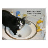 LOL Cat card (Front Horizontal)