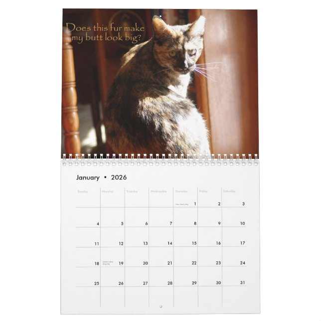 LOL Cats 2008 Calendar (Jan 2026)