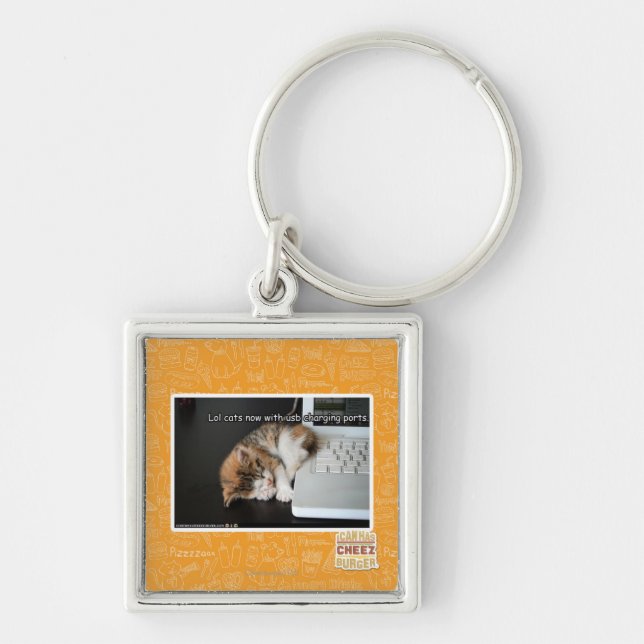 Lol cats with USB Keychain (Front)