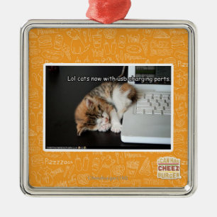 Lol cats with USB Metal Ornament