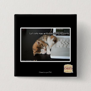 Lol cats with USB Pinback Button