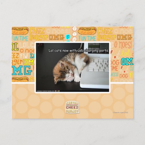 Lol cats with USB Postcard