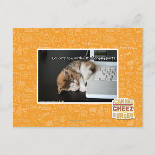 Lol cats with USB Postcard