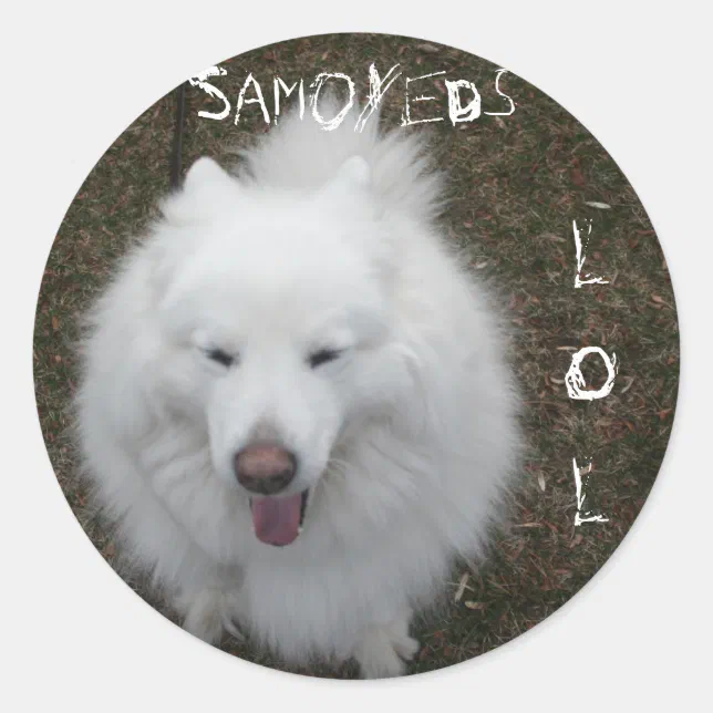 LOL CLASSIC ROUND STICKER | Zazzle