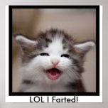 LOL I Farted! Poster