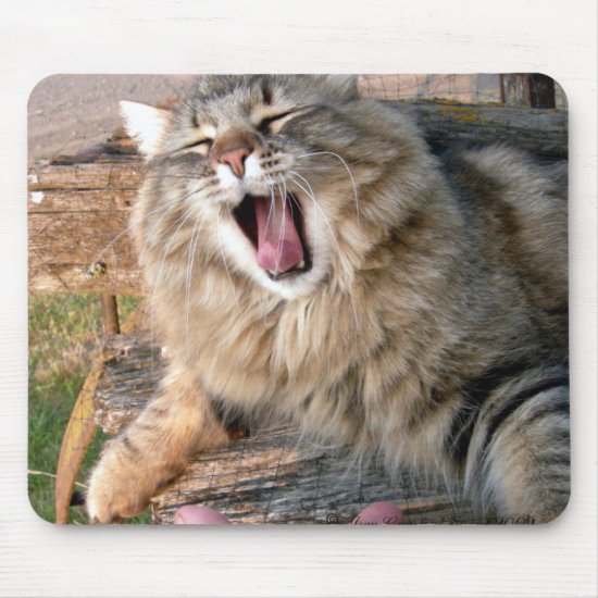 LOL Maine Coon Mouse Pad
