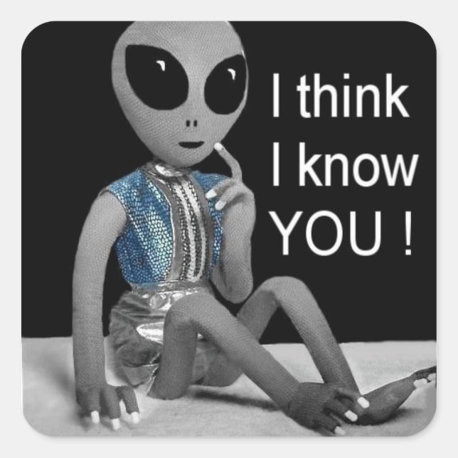 LOL - On addressed mail or beside a picture - Square Sticker (Front)