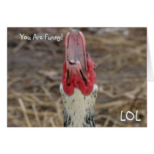 LOL, You Are Funny! Cards