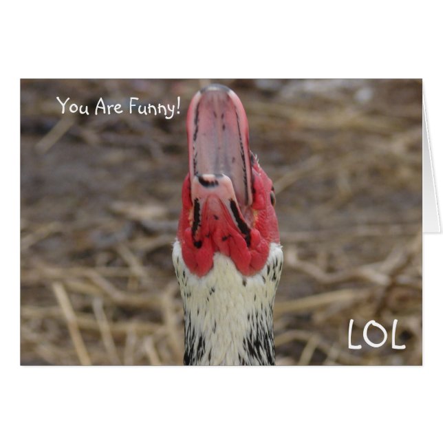 LOL, You Are Funny! Cards (Front Horizontal)