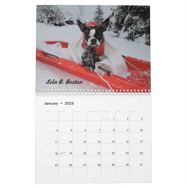 Lola B. Boston 2015 Calendar (Jan 2026)