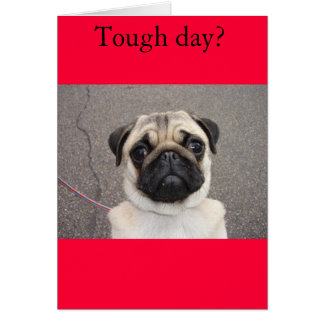 Lola feels your pain cards