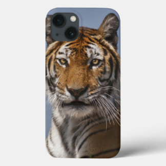 Lola iPad Case