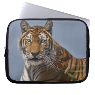 Lola Laptop Sleeve
