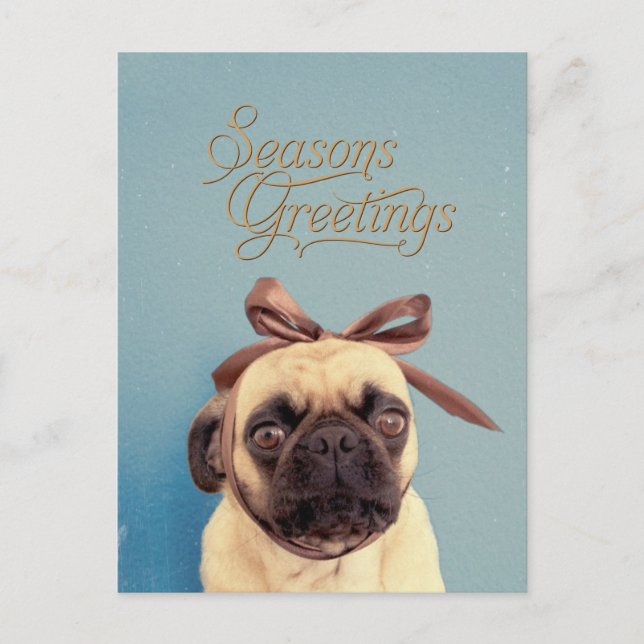 Lola with bow postcard (Front)