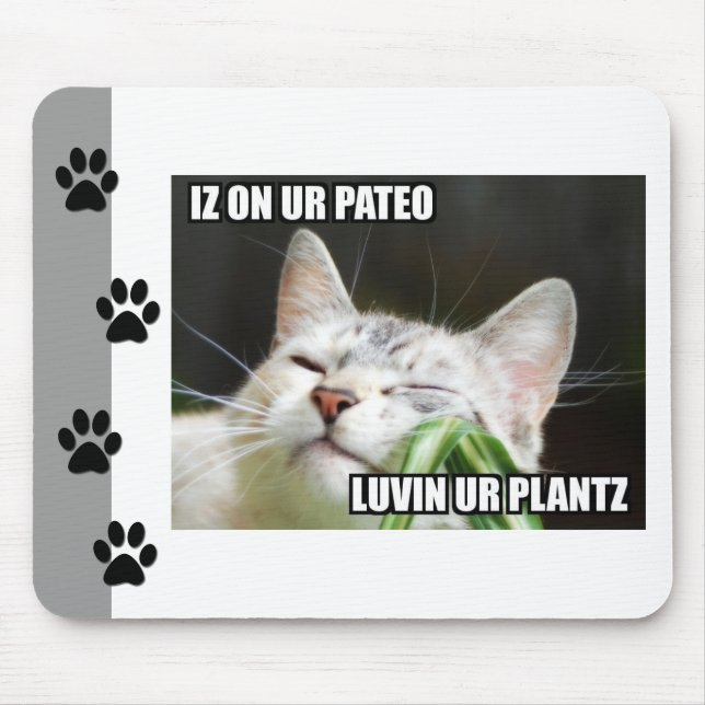 LOLCat Sassy Mousepad (Front)