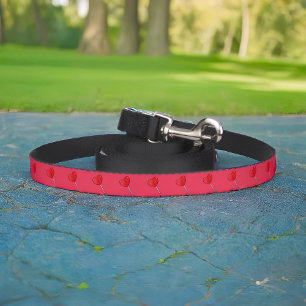 Lollipop Pet Leash