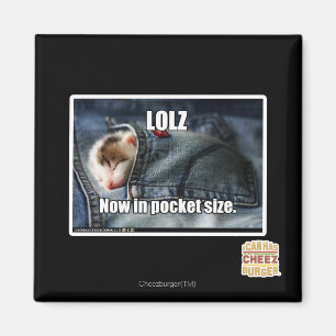LOLZ Now in Pocket Size Magnet