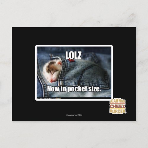 LOLZ Now in Pocket Size Postcard