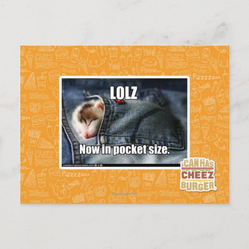 LOLZ Now in Pocket Size Postcard