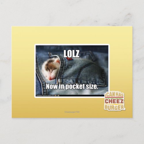 LOLZ Now in Pocket Size Postcard