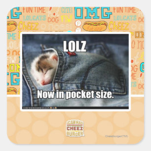 LOLZ Now in Pocket Size Square Sticker