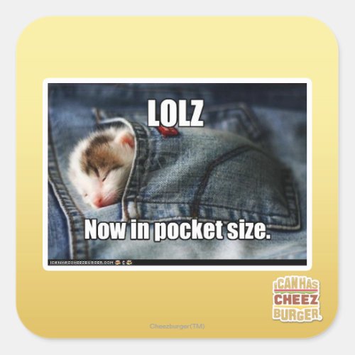 LOLZ Now in Pocket Size Square Sticker