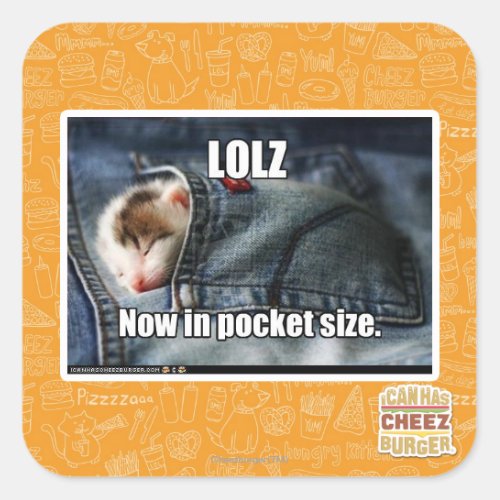 LOLZ Now in Pocket Size Square Sticker