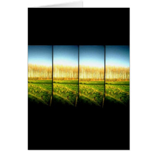 lomo landscape 2 cards