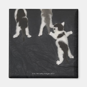 London, England, UK 2 Magnet