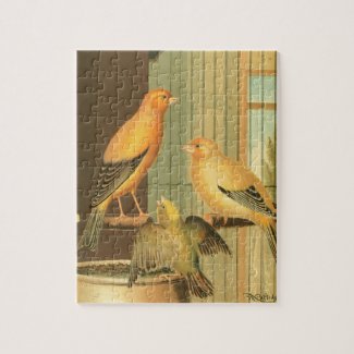 London Fancy Canaries